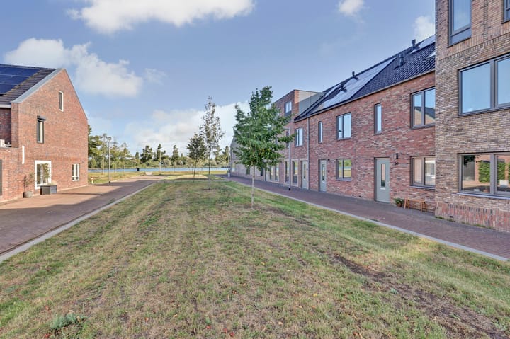 Foto 50 van Silenus 50