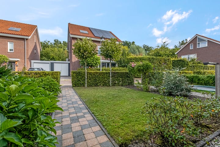 Foto 37 van Noorburgerbos 6