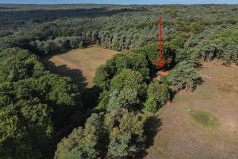 undefined main image