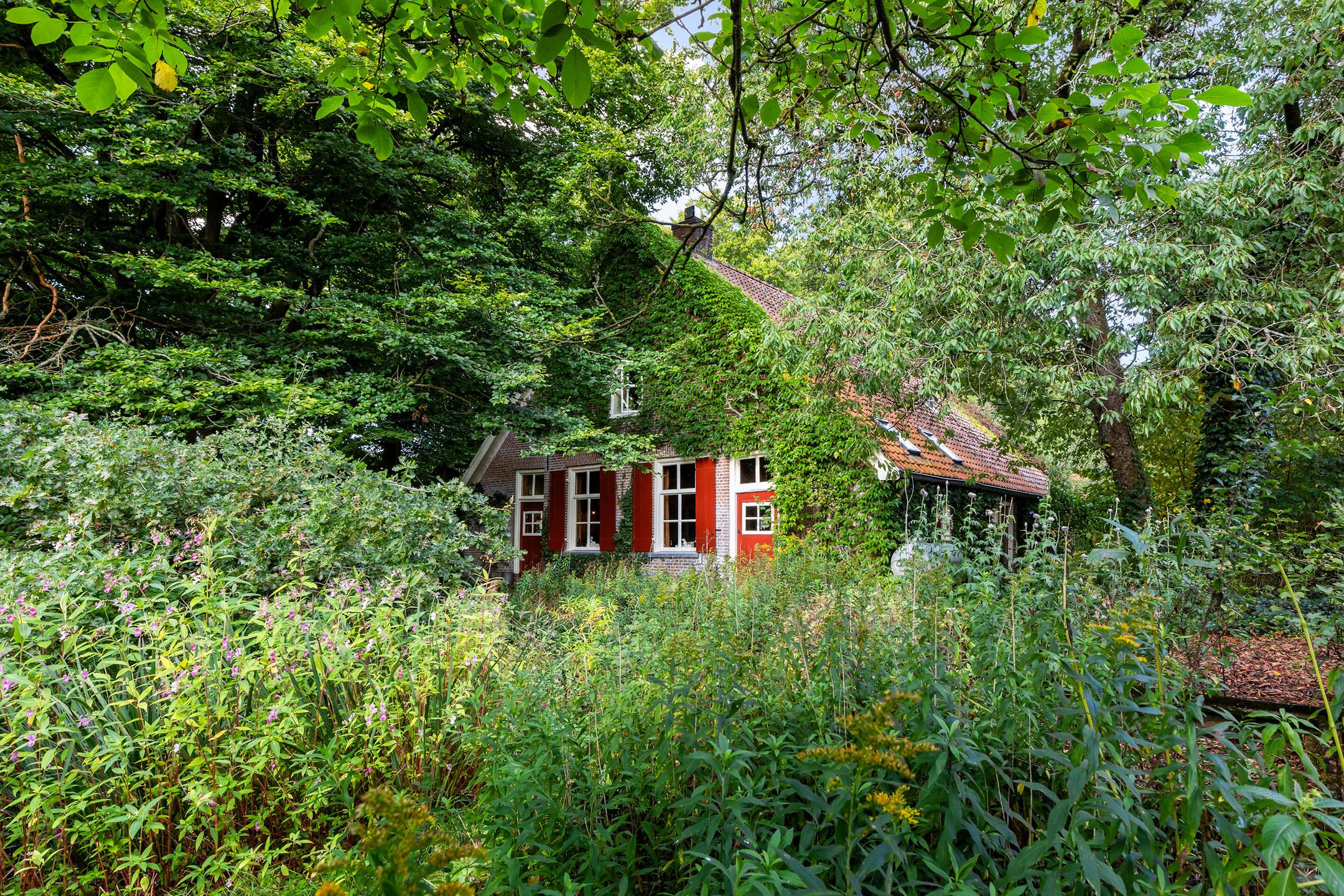 Foto 48 van Imbosch 1