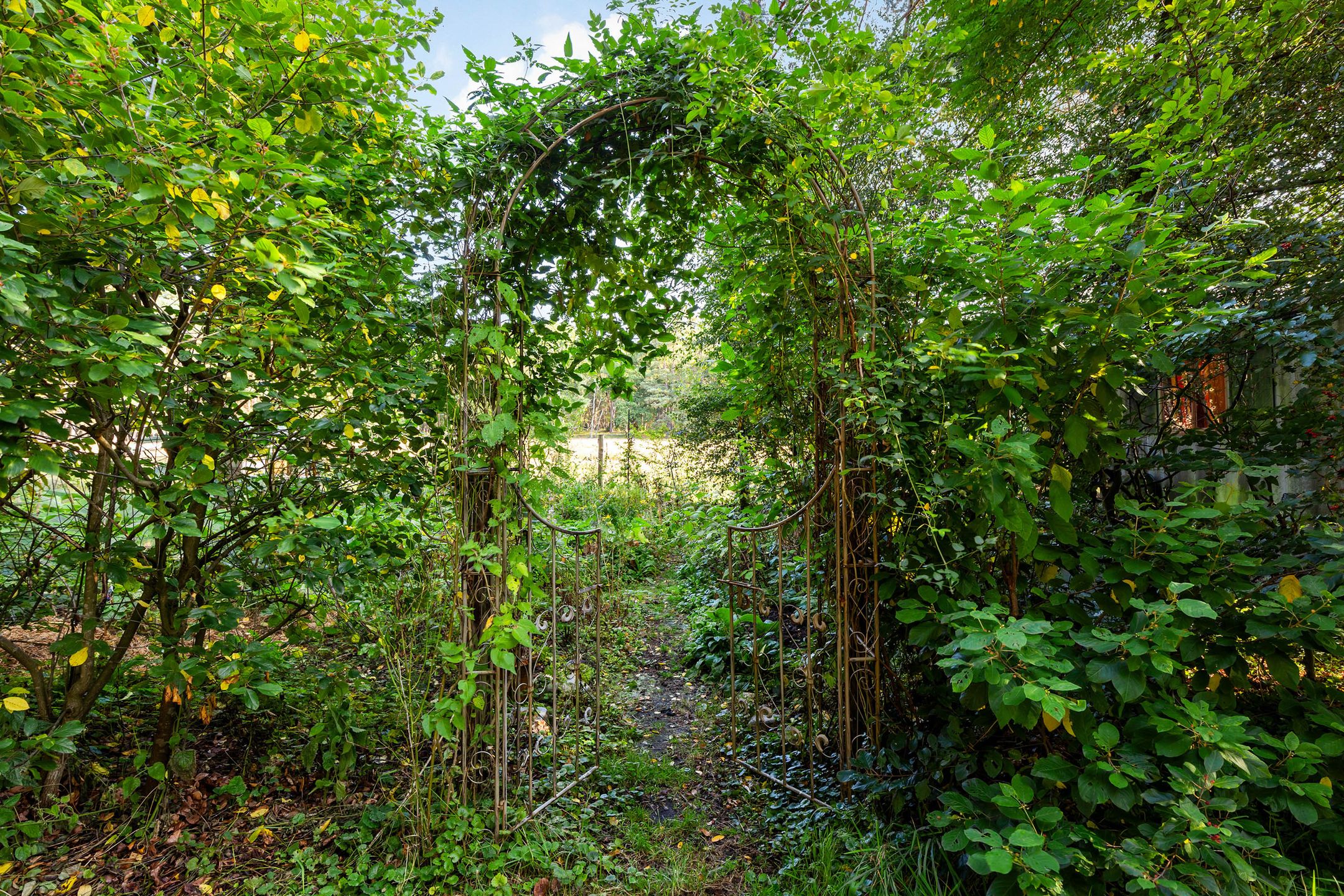 Foto 54 van Imbosch 1