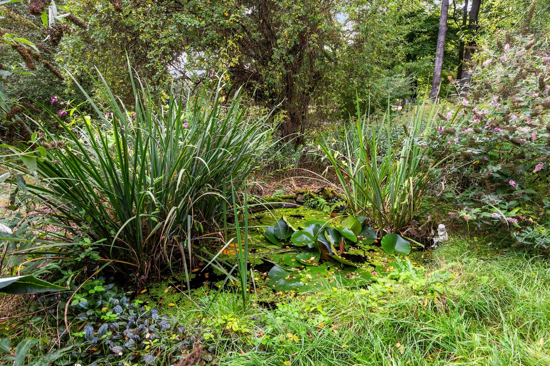 Foto 61 van Imbosch 1