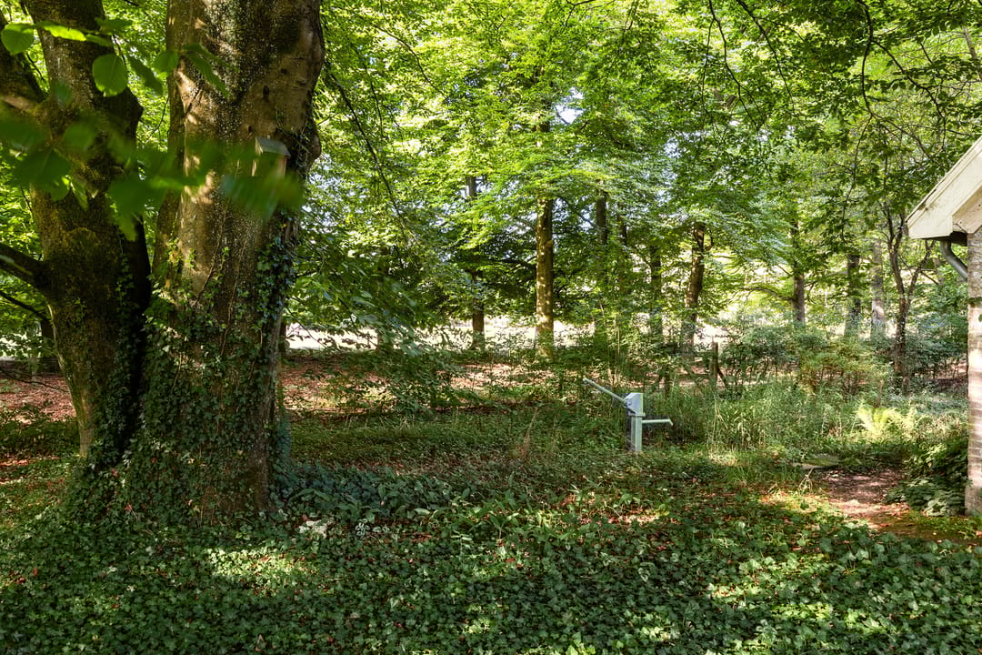 Foto 62 van Imbosch 1