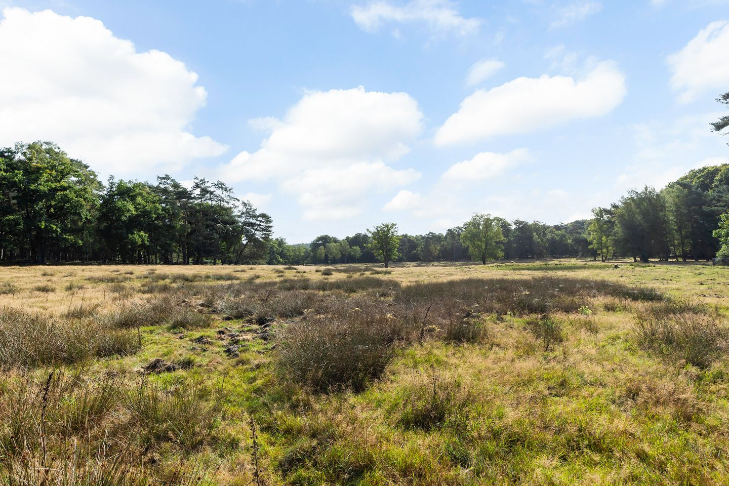 Foto 65 van Imbosch 1