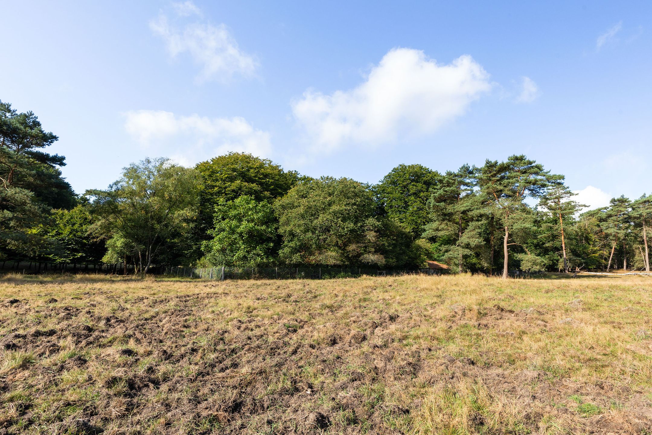 Foto 66 van Imbosch 1