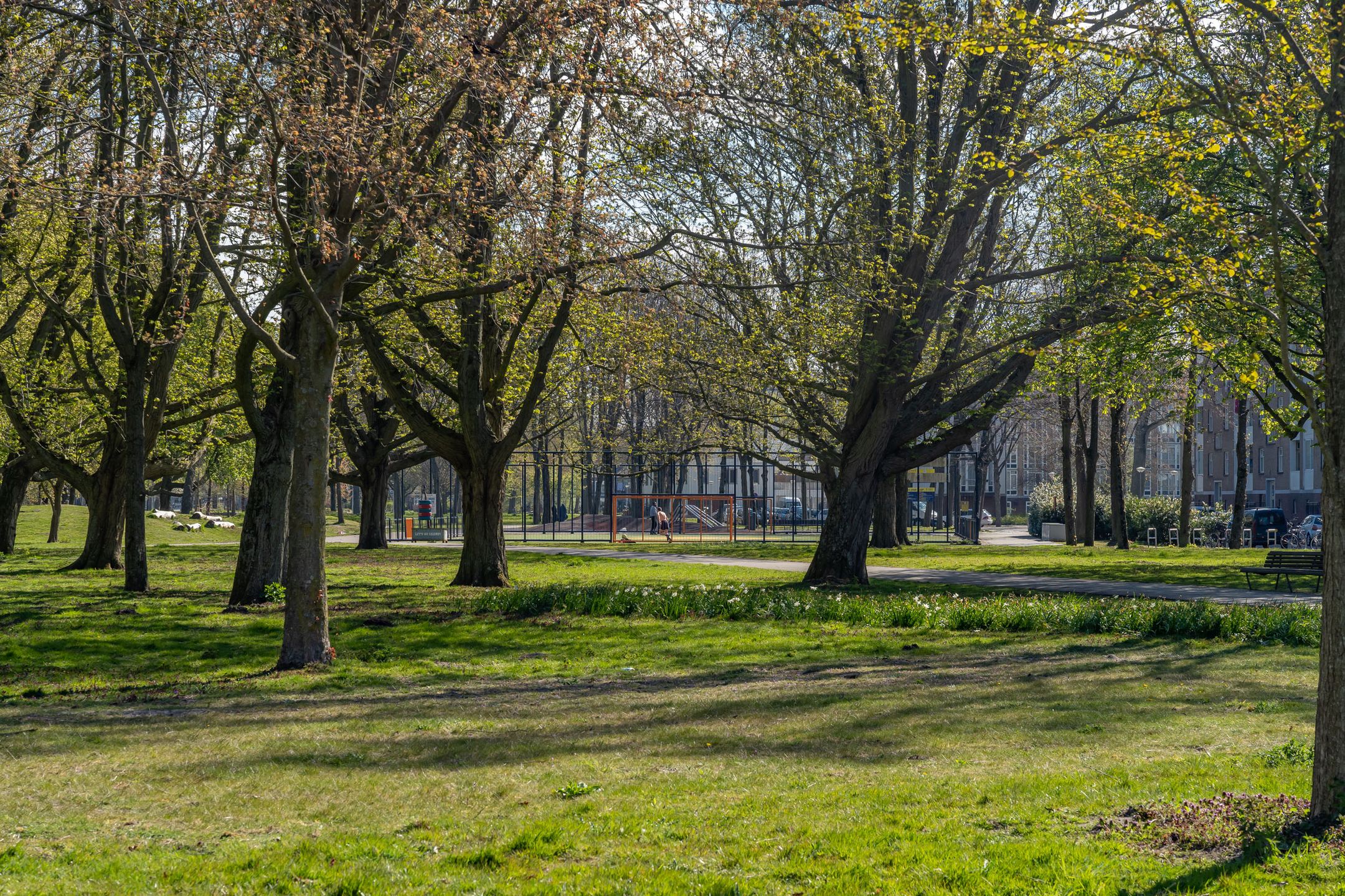 Foto 27 van Osdorper Ban 731