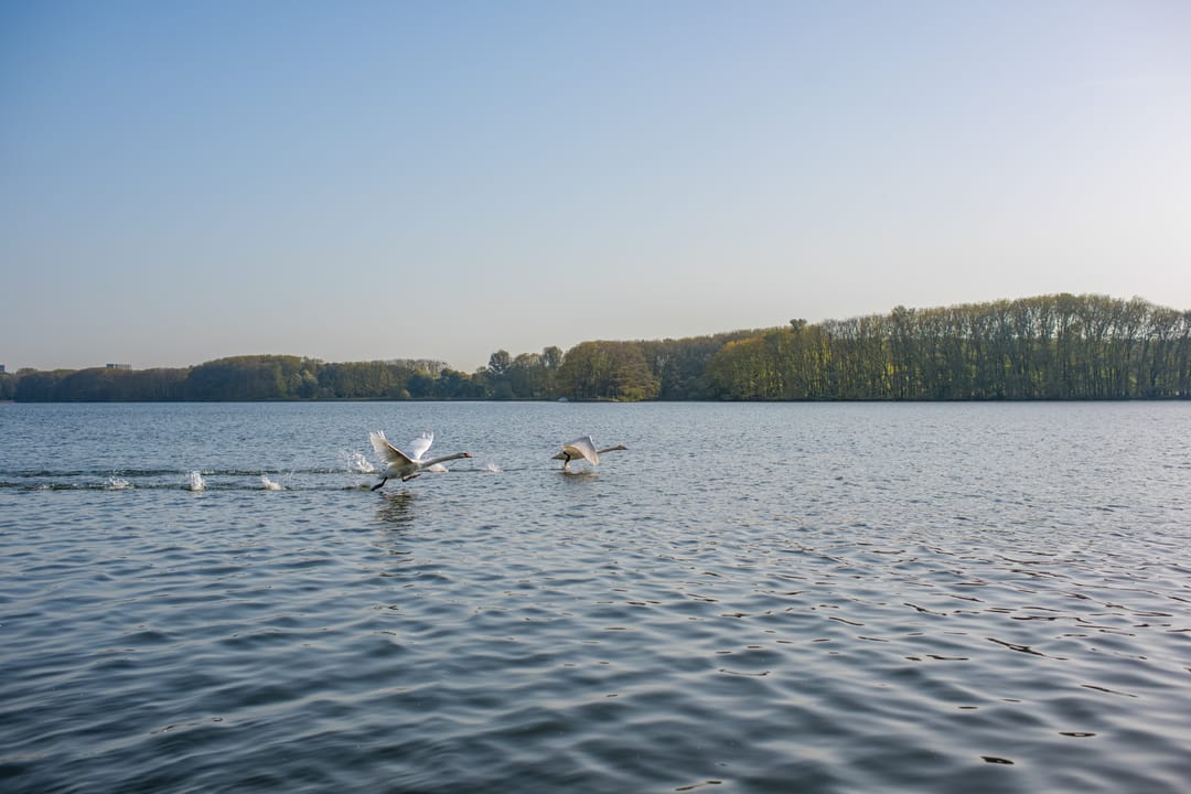 Foto 28 van Osdorper Ban 731