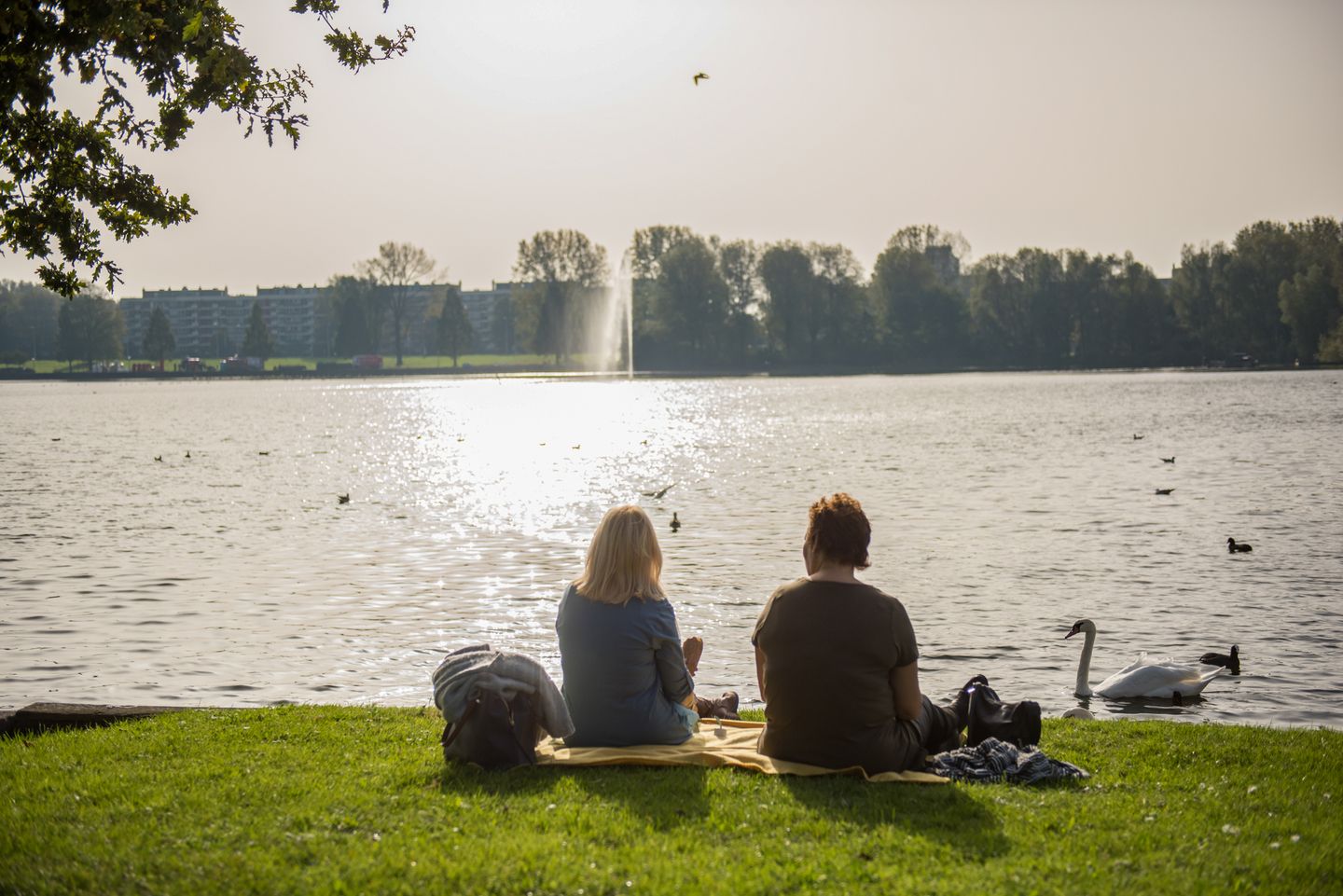 Foto 29 van Osdorper Ban 731