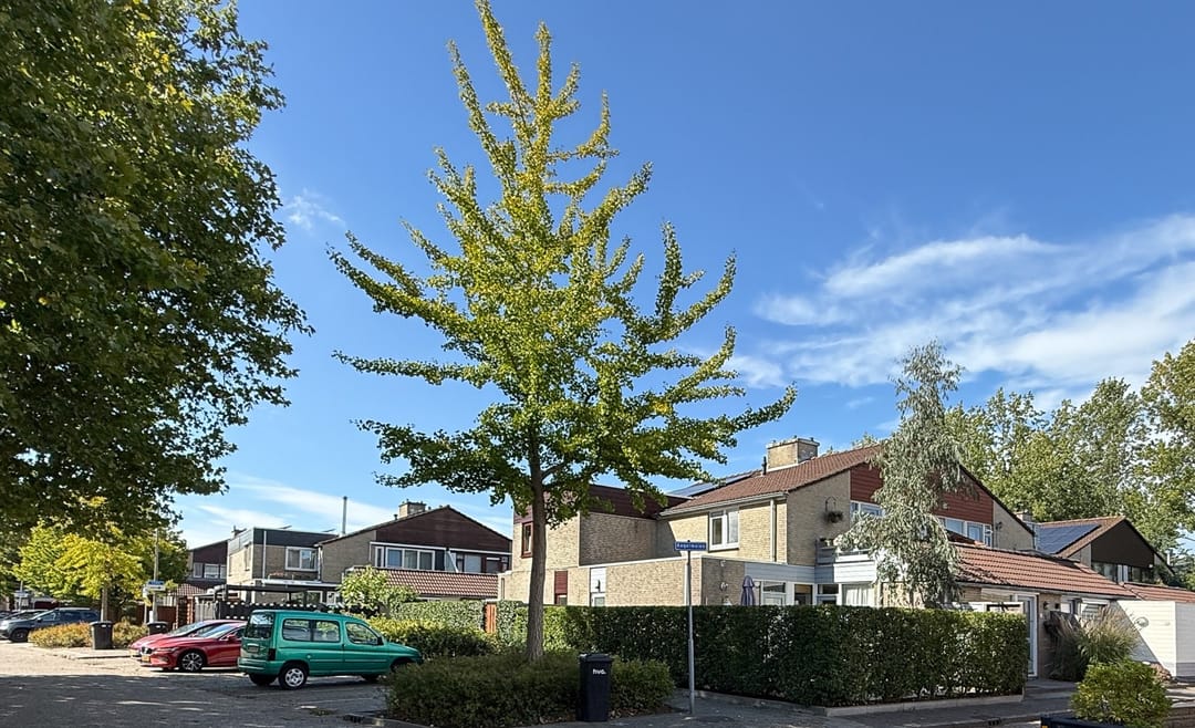 Foto 1 van Kalander 44