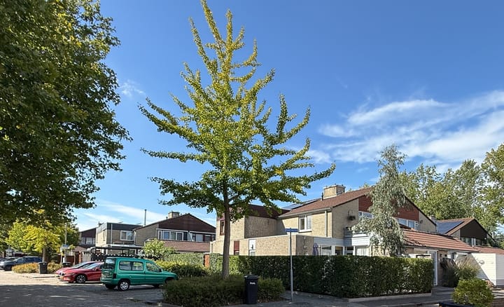 Photo 1 of Kalander 44