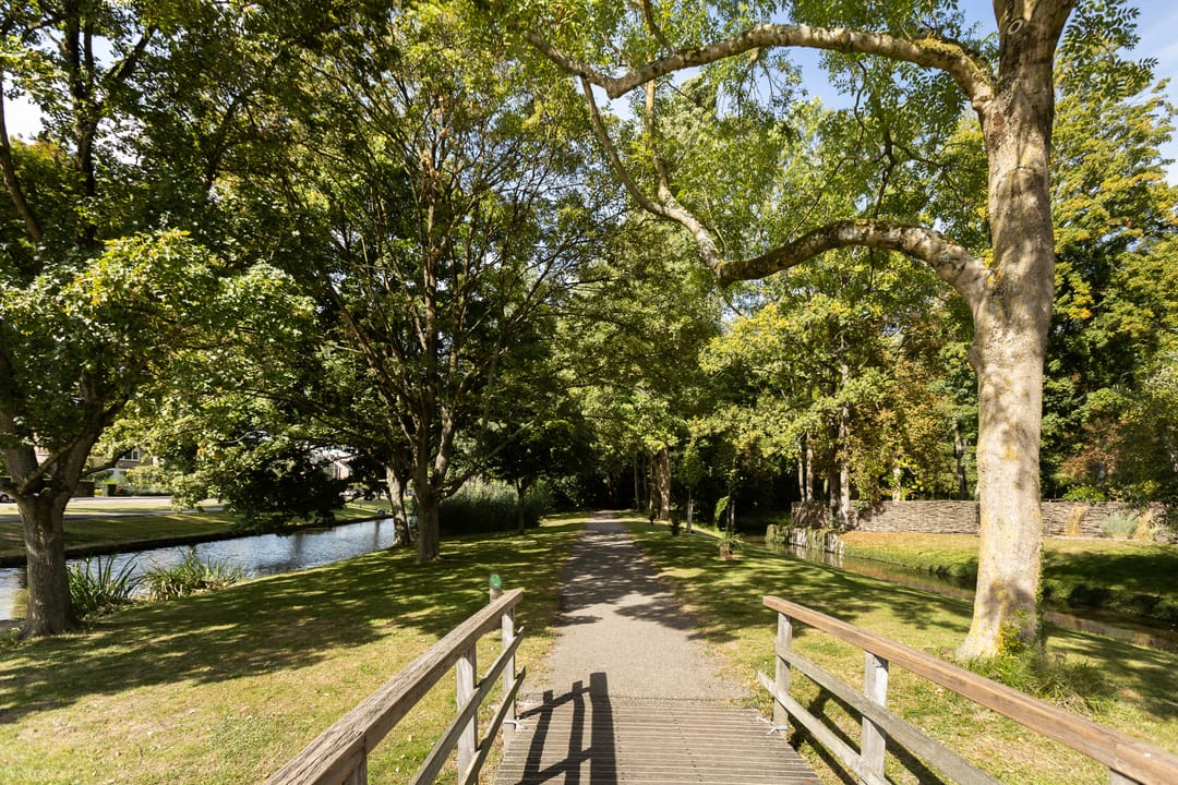 Foto 43 van Kastanjelaan 23