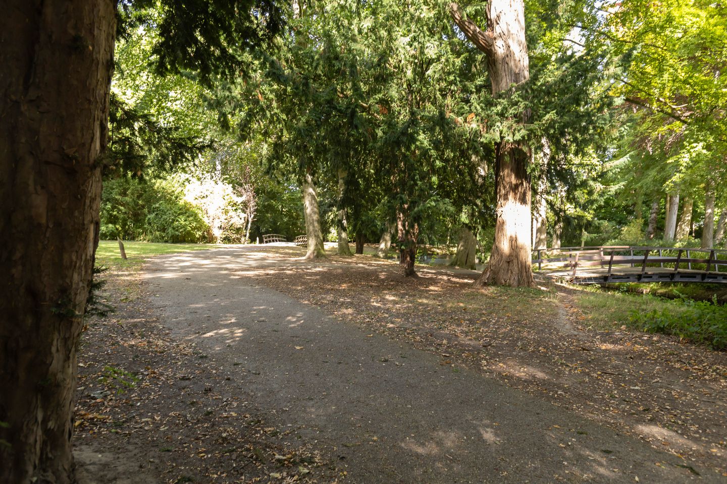 Foto 44 van Kastanjelaan 23