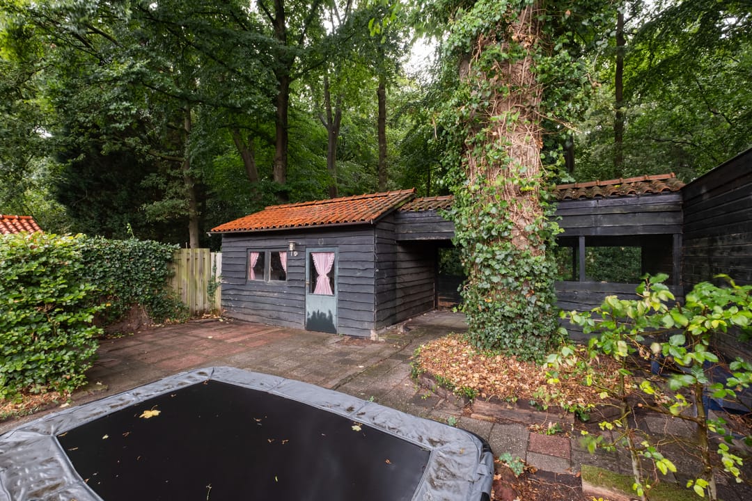 Foto 32 van Ds. Witteveenlaan 11