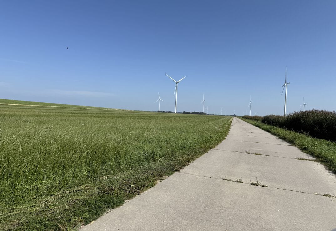 View photo 3 of Tarpanweg