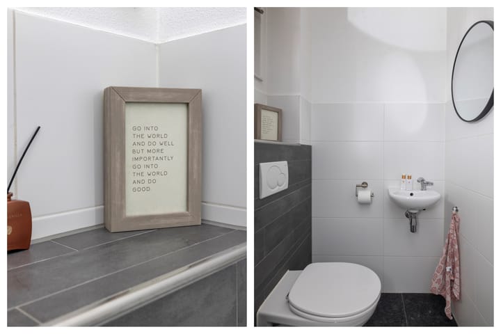 Photo 19 of Kuifeend 23