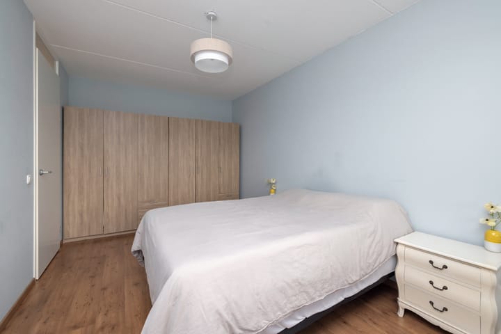 Photo 23 of Kuifeend 23