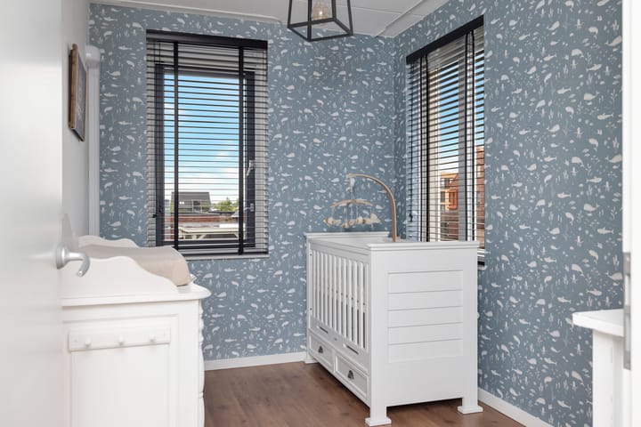 Photo 24 of Kuifeend 23