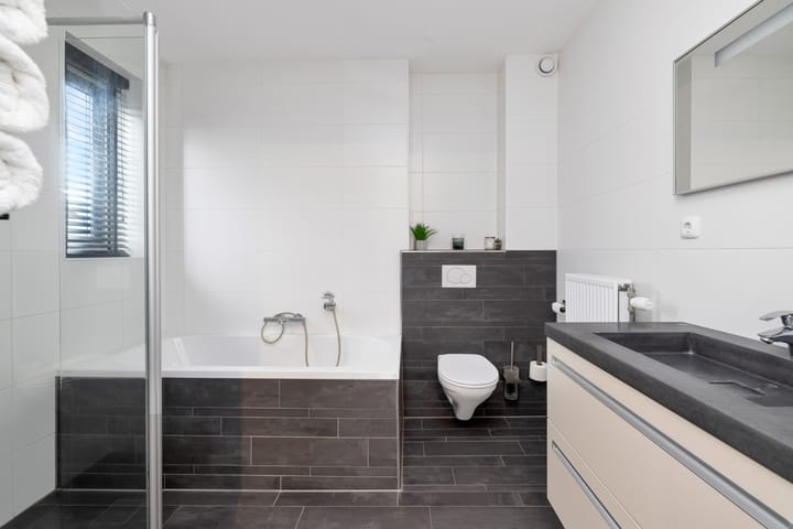 Photo 28 of Kuifeend 23