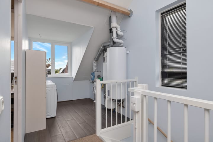 Photo 31 of Kuifeend 23