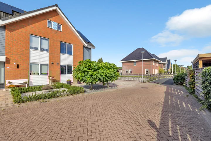 Photo 39 of Kuifeend 23