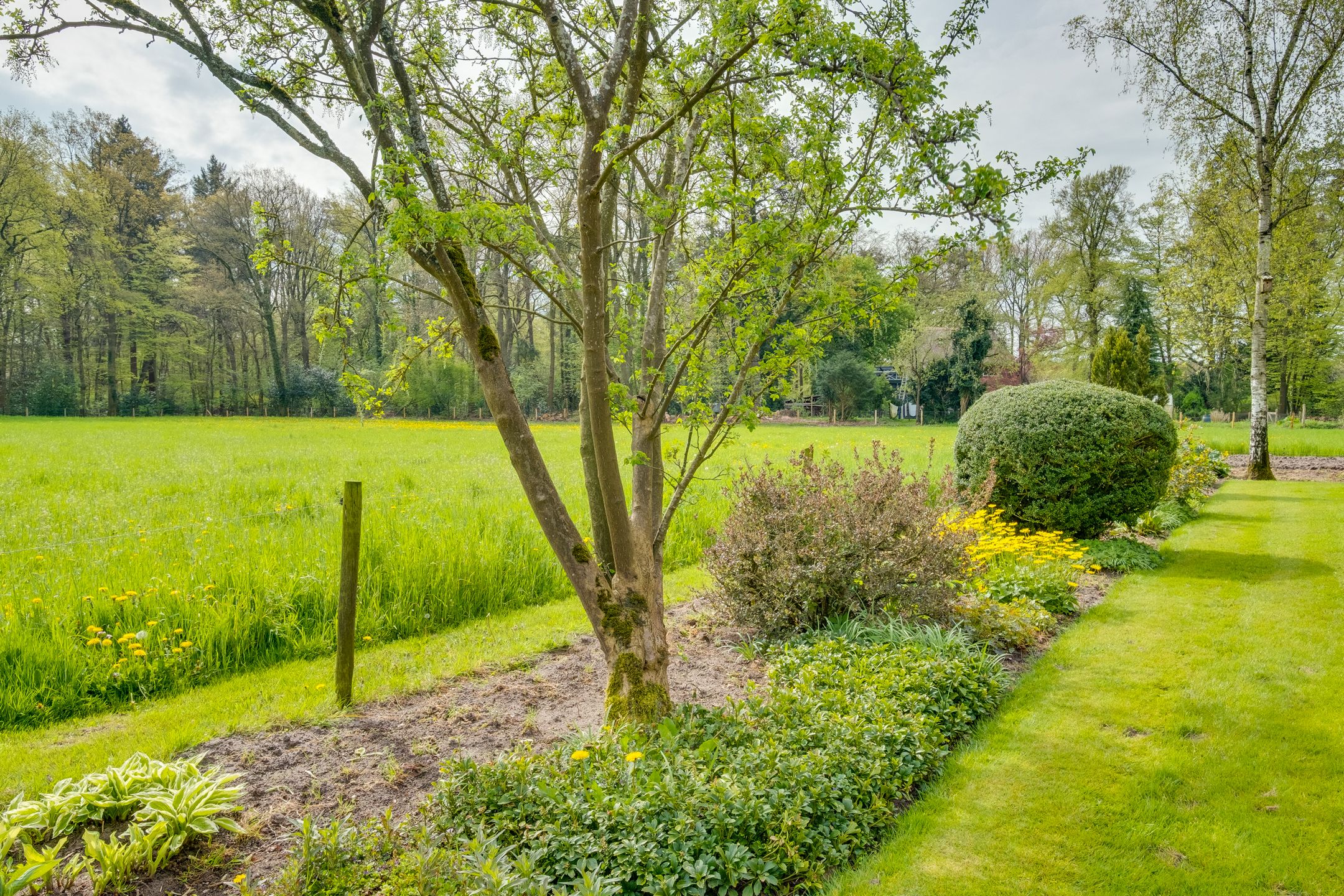 Foto 30 van Huzarenlaan 14