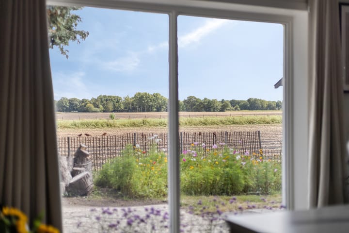 Foto 17 van Asserstraat 51