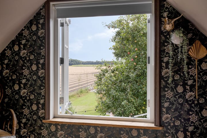 Foto 25 van Asserstraat 51