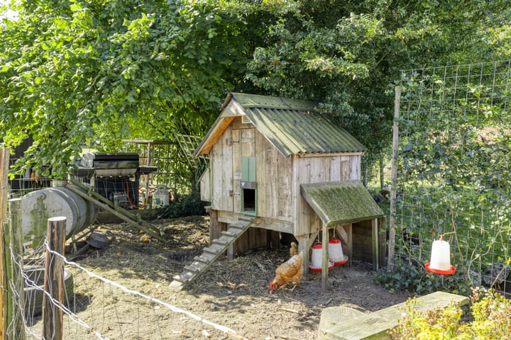 Foto 43 van Asserstraat 51