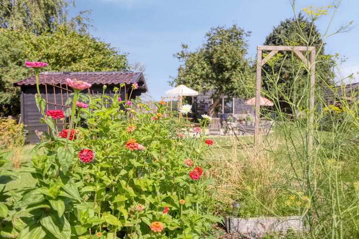 Foto 44 van Asserstraat 51