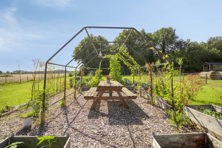 Foto 49 van Asserstraat 51