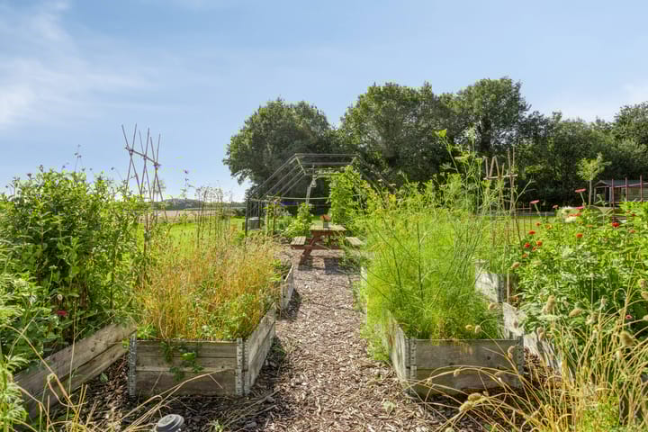 Foto 50 van Asserstraat 51