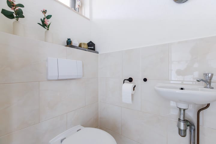 Foto 21 van Theems 12