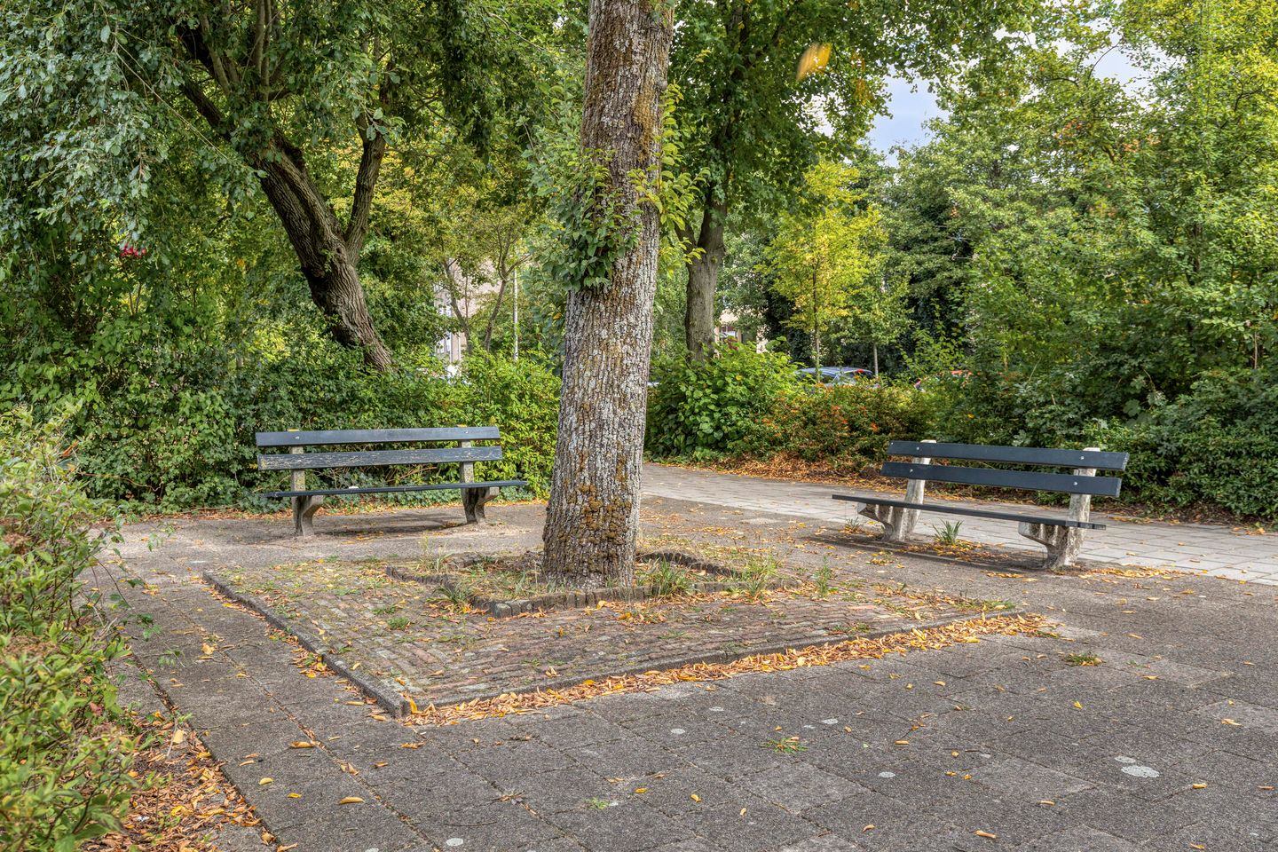 Photo 29 of Kruidenommegang 43