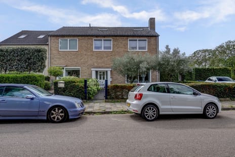 undefined main image