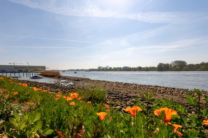 Photo 43 of Baanhoek 50