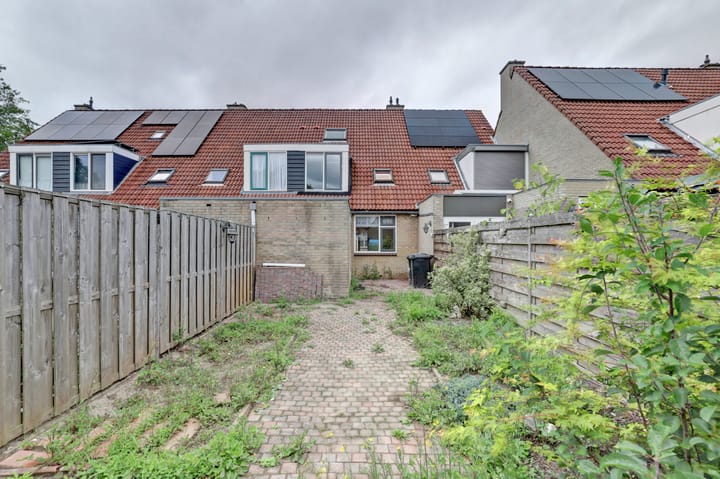 Photo 36 of Amstel 85