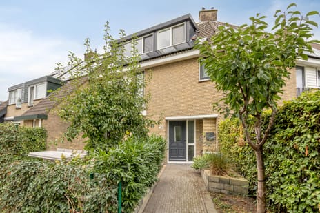 undefined main image