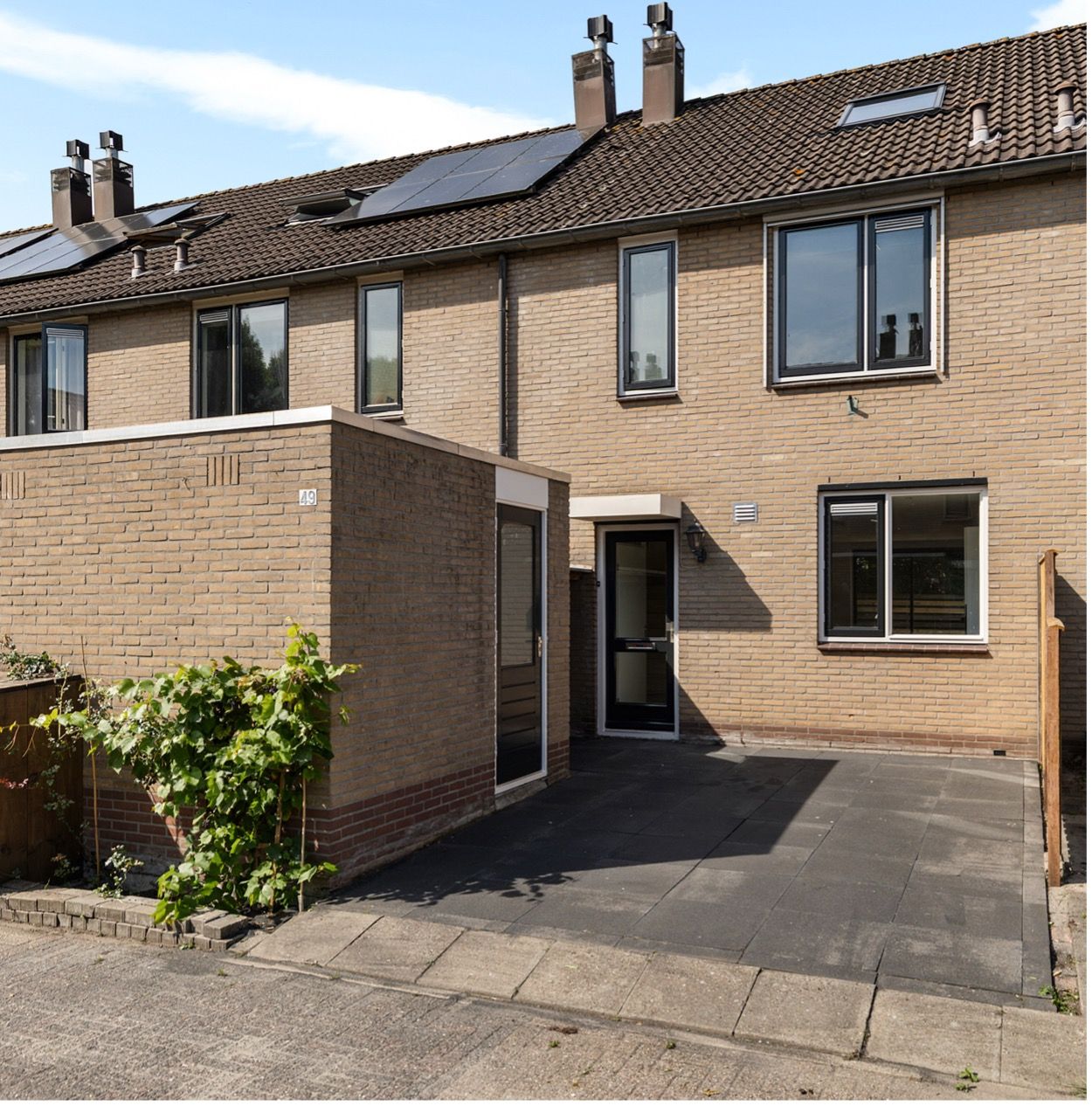 Photo 1 of Ganzebloem 49