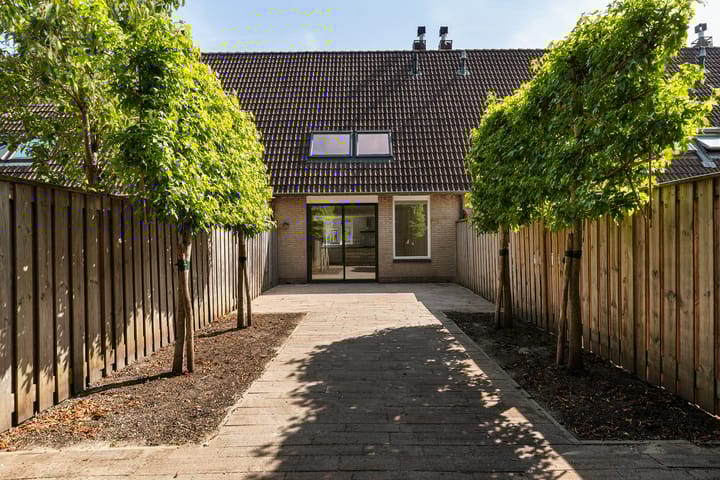 Photo 2 of Ganzebloem 49