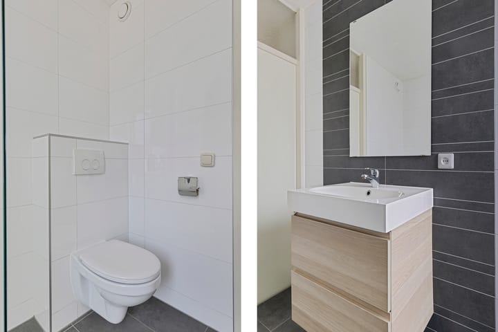 Photo 10 of Ganzebloem 49