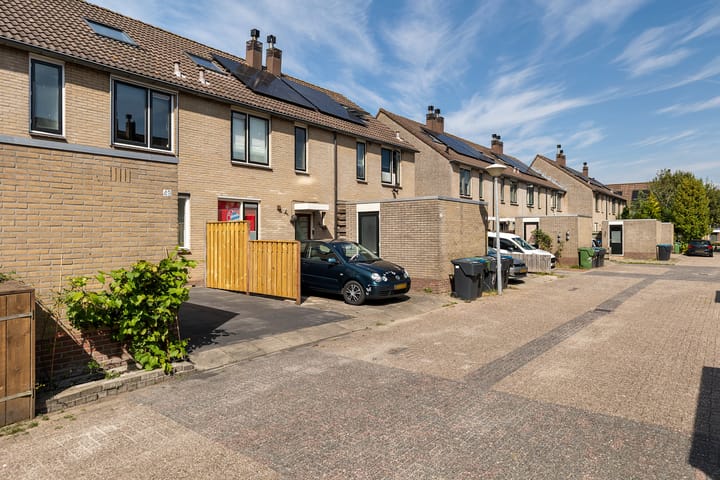 Photo 20 of Ganzebloem 49