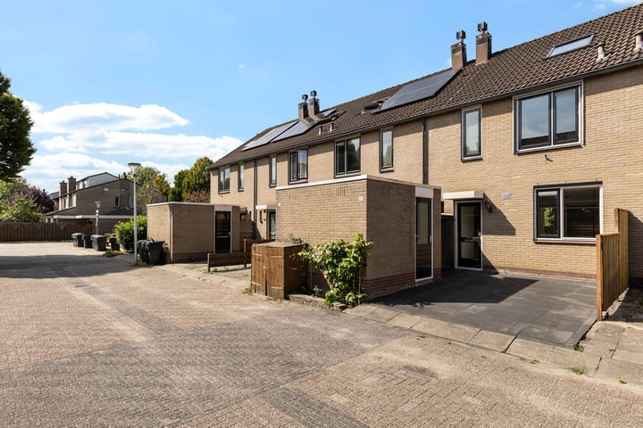 Photo 21 of Ganzebloem 49