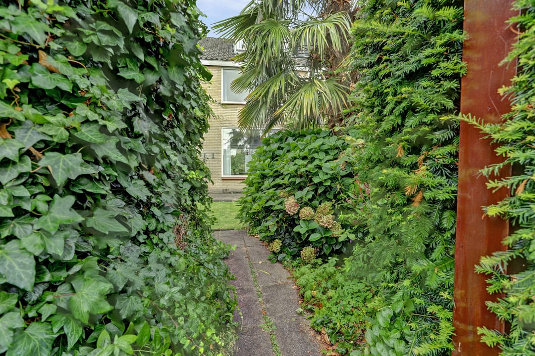 Photo 41 of Abel Tasmanlaan 50