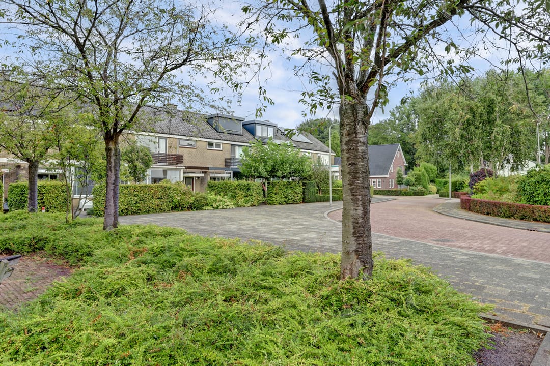 Photo 46 of Abel Tasmanlaan 50