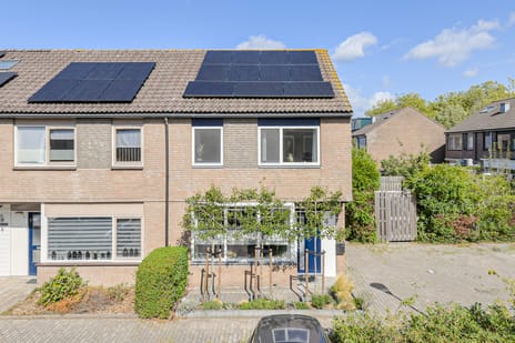 undefined main image