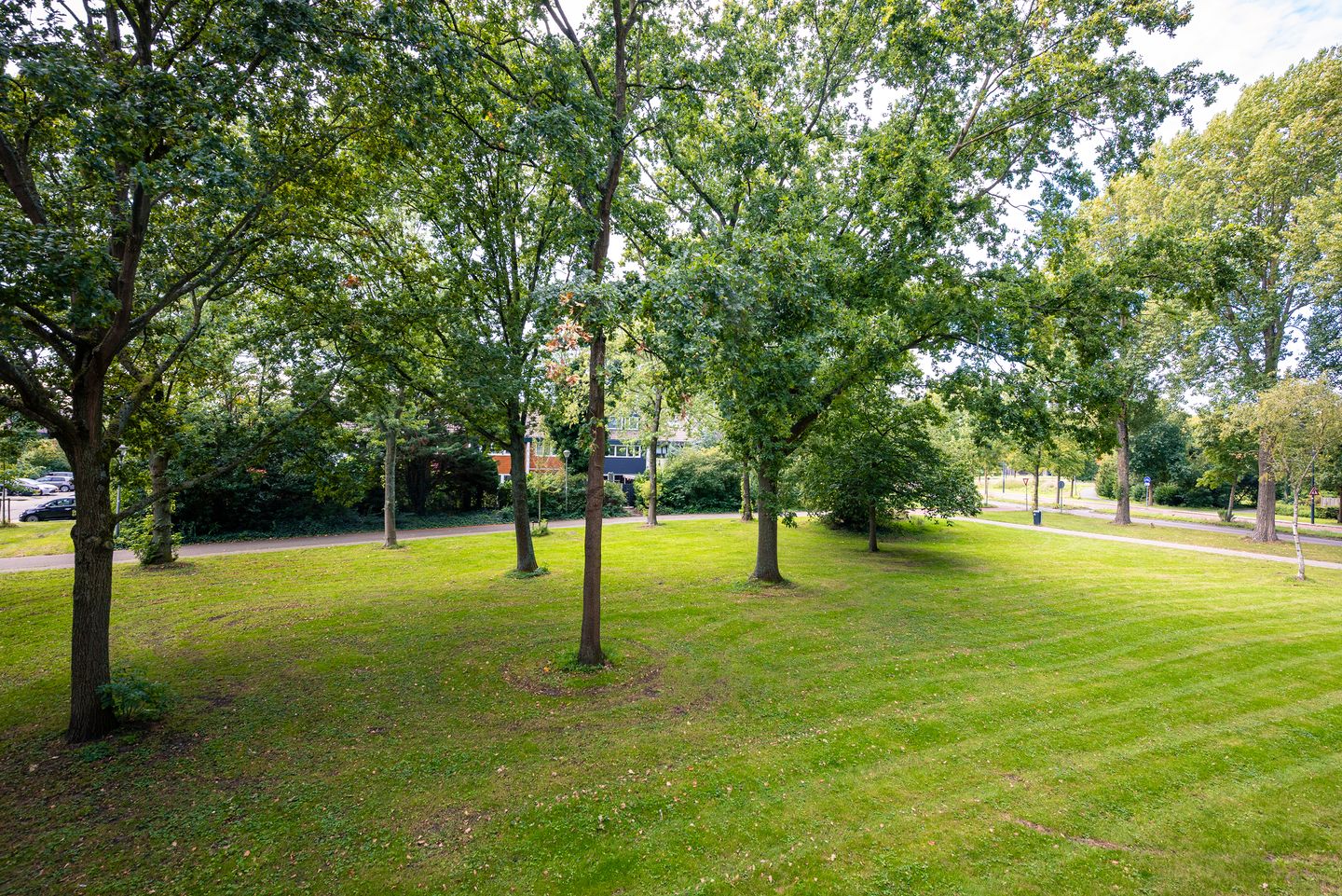 Photo 5 of Landschot 26