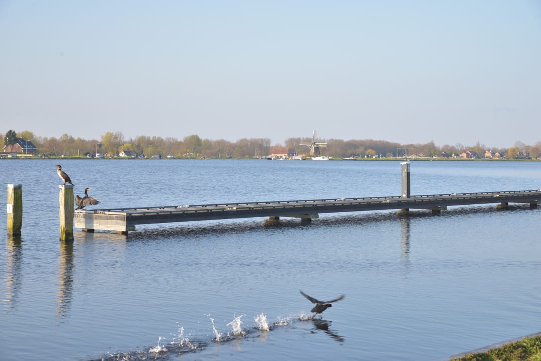 Photo 17 of Landschot 26