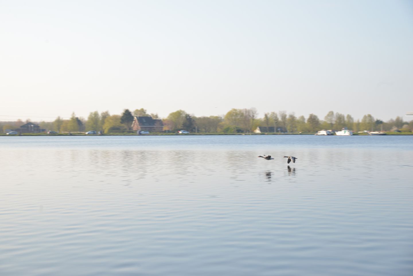 Photo 20 of Landschot 26