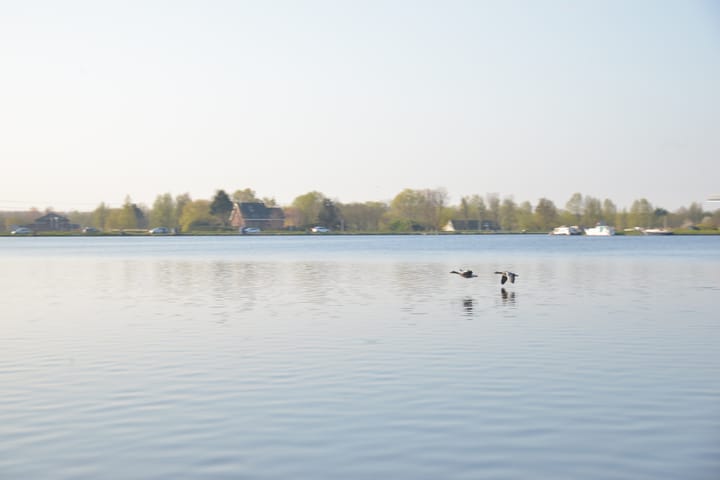 Foto 20 van Landschot 26