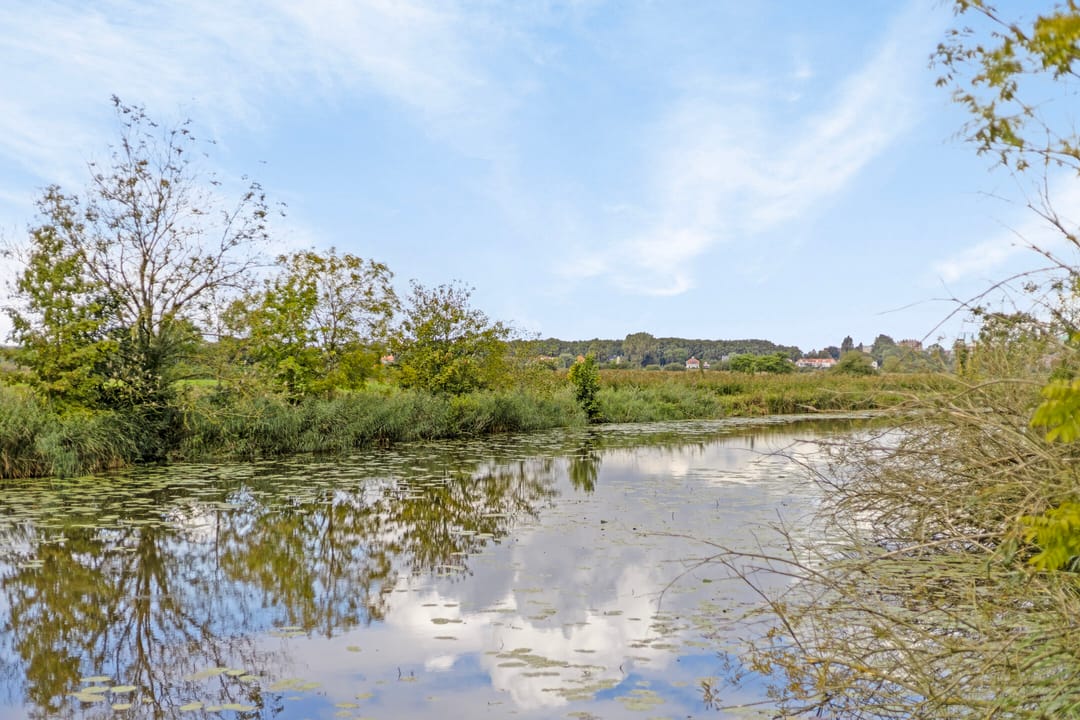 Foto 38 van Schubertsingel 50